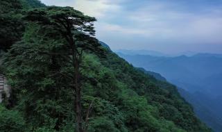 抬头老婆低头汉 抬头老婆低头汉