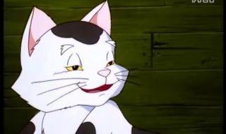 小贝流浪记动漫 小贝流浪记动漫