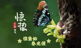 龙之谷配置 龙之谷配置