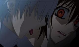 吸血鬼骑士玖兰枢 吸血鬼骑士玖兰枢