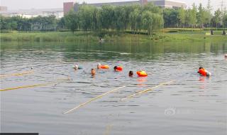 河南龙子湖大学城事件 河南龙子湖大学城事件