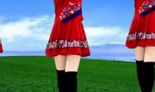 我从草原来广场舞 我从草原来广场舞