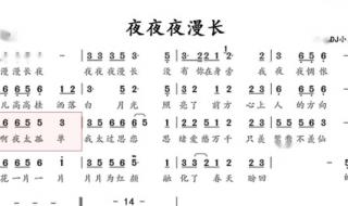 夜夜夜漫长原唱dj