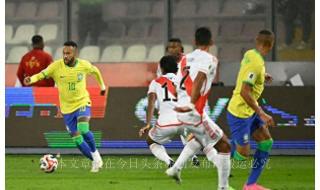 1990年世界杯巴西队阵容