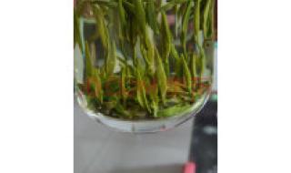 2021奥运会100米冠军 2021奥运会100米冠军